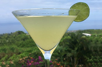 Refreshing Honey Limeade
