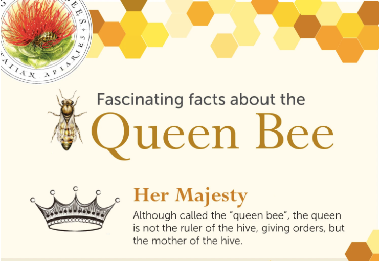 Infographic