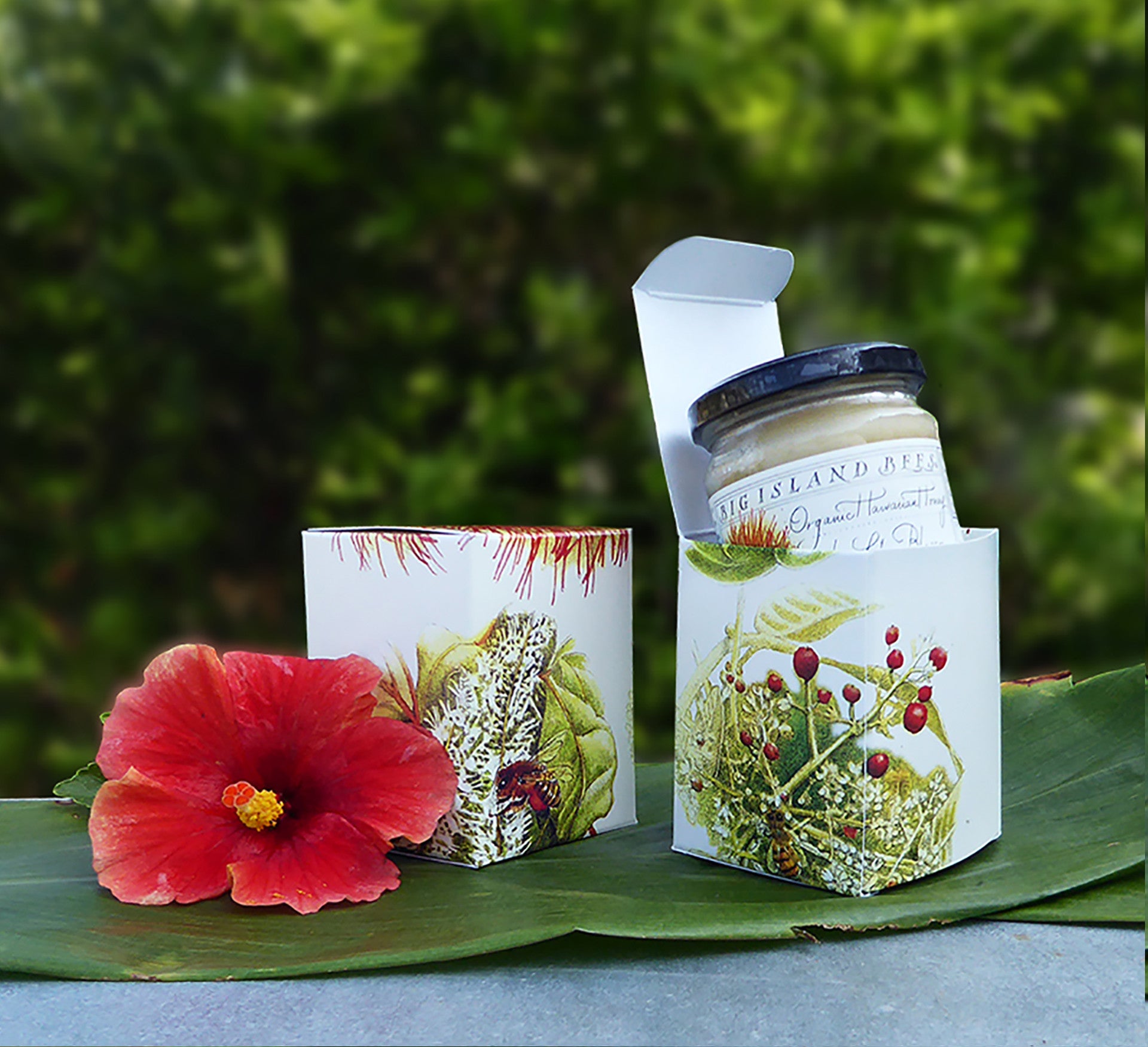 single honey jar decorative illustrated gift box