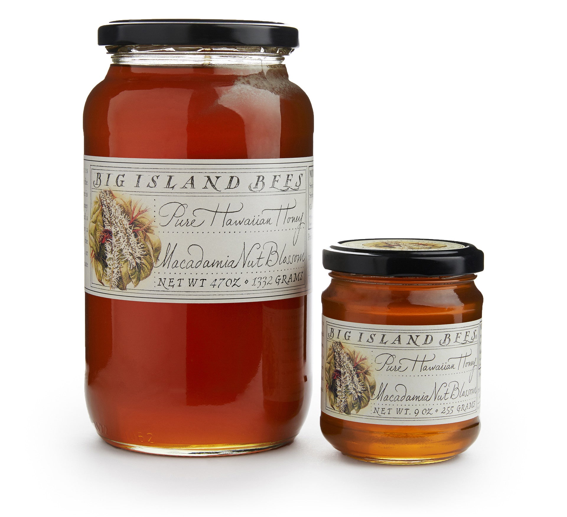 raw Hawaiian macadamia nut honey in glass jar